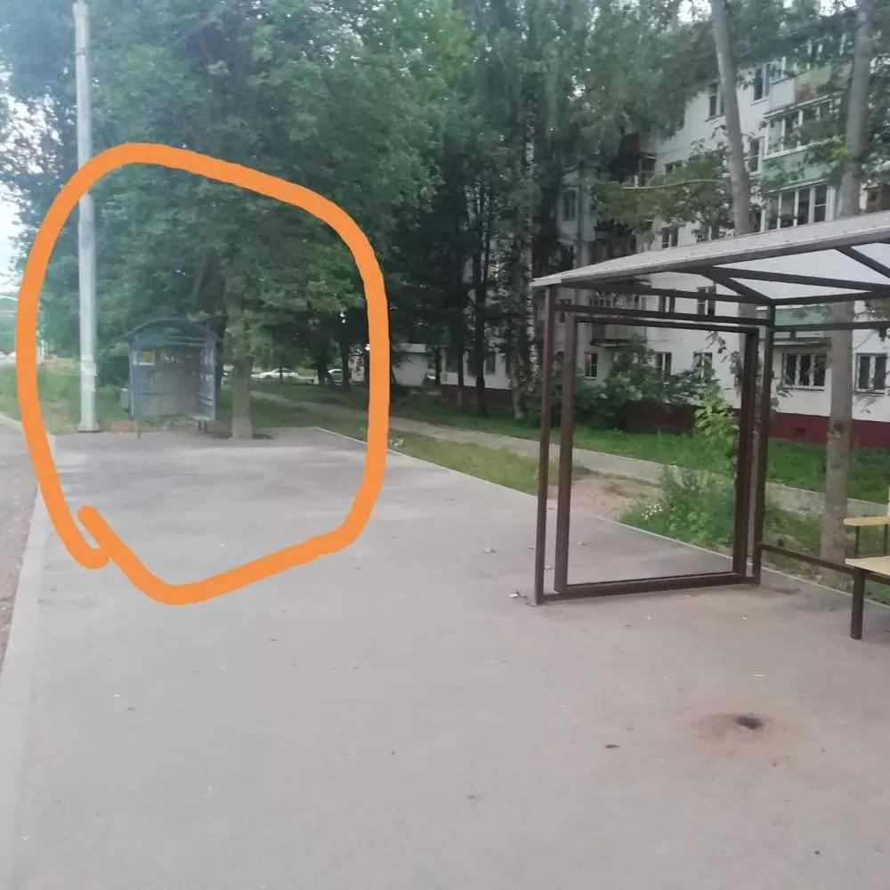 Ярославцы просят мэрию установить в Брагино остановки