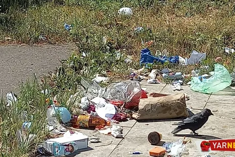 Лицо Ярославля: туристов, приплывающих на теплоходах, встречает помойка