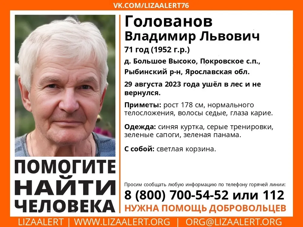 В Ярославской области нужны добровольцы для поиска пропавшего пенсионера