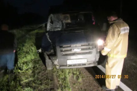 В Гаврилов-Ямском районе ночью погиб пешеход