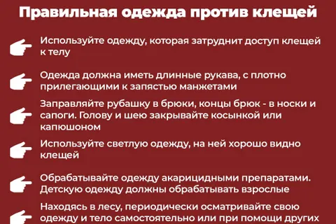 Роспотребнадзор рассказал ярославцам, как защититься от клещей