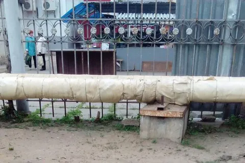 Массовый расстрел символа мира в Ярославской области