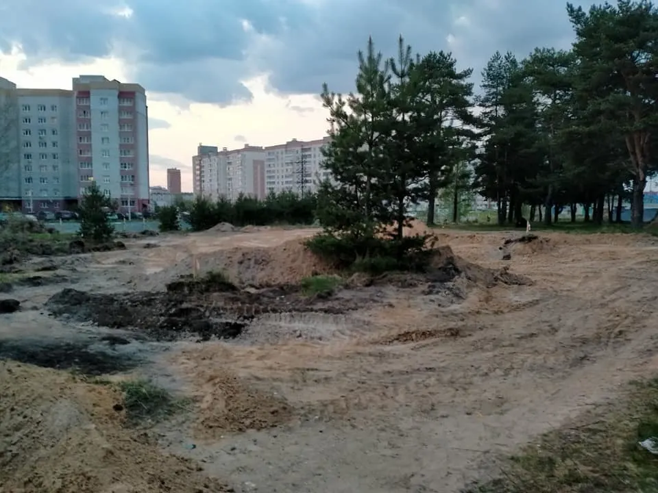 В Ярославле депутат-застройщица хочет вырубить полувековой бор под жилье?