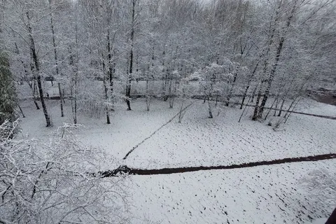 Ярославцы делятся фотографиями первого снега