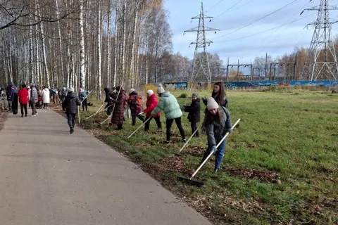 Ярославцы убрали мусор в Павловском парке
