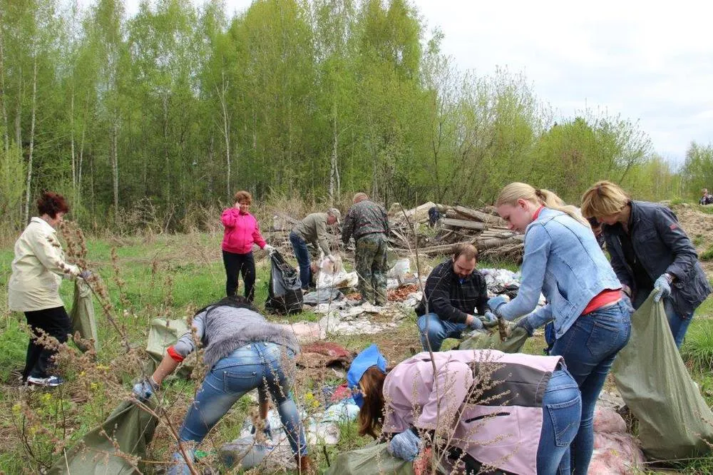 Из лесов Ярославской области вывезли более 800 кубометров мусора