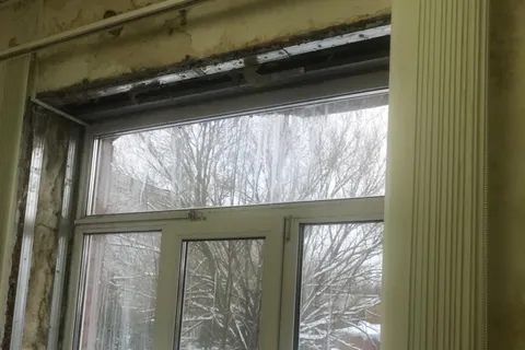 В здании ярославской детской больницы растут грибы и плесень