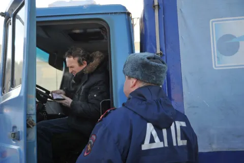 В Ярославской области началась операция «Ель»
