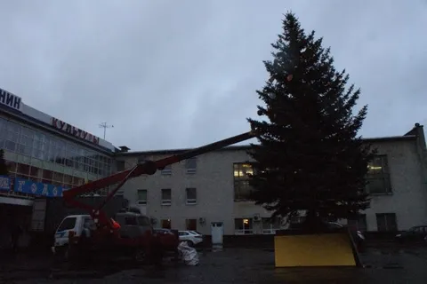 В Ярославле у ДК «Нефтяник» установили живую ель