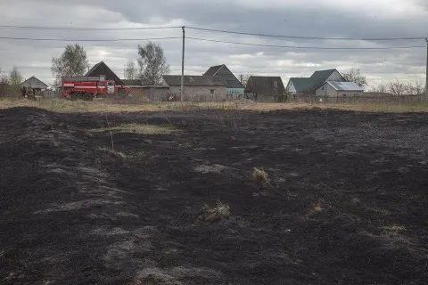 В соцсетях размещены фотографии пожара в Ярославской области от Гринпис