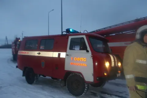 В Ярославле сегодня горел зоопарк