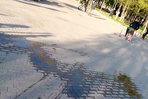 Ярославцы отказываются от прогулок в парке из-за запаха лошадиной мочи