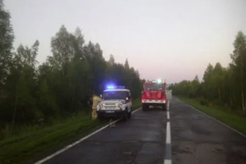 В Мышкинском районе мотоцикл врезался в стоящий КАМАЗ