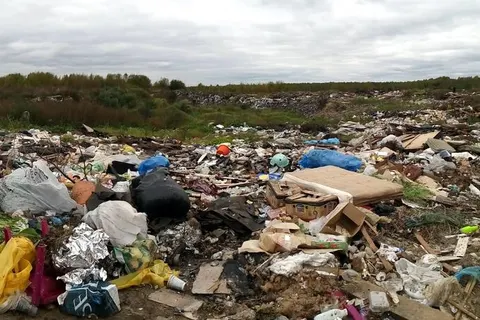 В Ярославской области активисты ОНФ добиваются ликвидации свалки