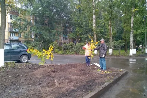 Из Ярославля вывезли более пятисот кубометров мусора