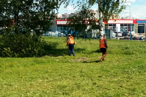 В Ярославле перешли на летний режим уборки