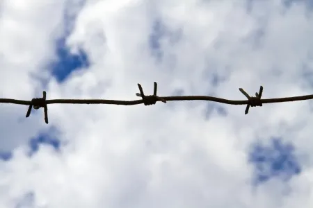 Подозреваемого в убийстве Ильи Исаева просят  перевести  под домашний арест
