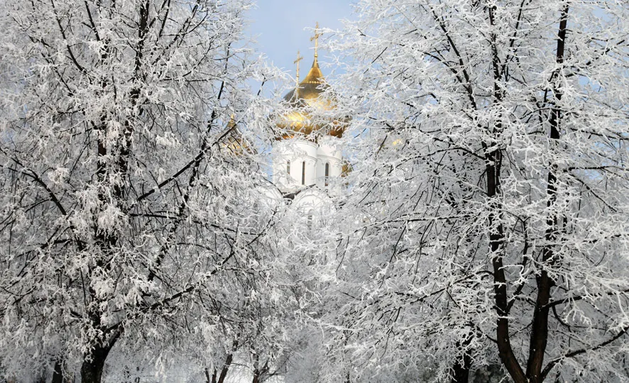 В Ярославле состоится торжественная передача иконы