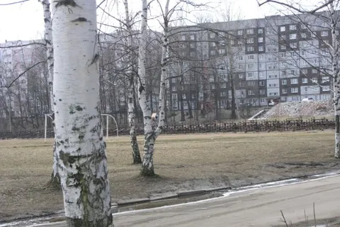 Депутаты муниципалитета Ярославля изучают деятельность центров внешкольной работы