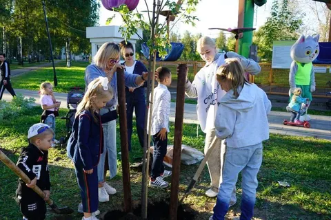 В ярославском парке «Юбилейный» высадили новые деревья