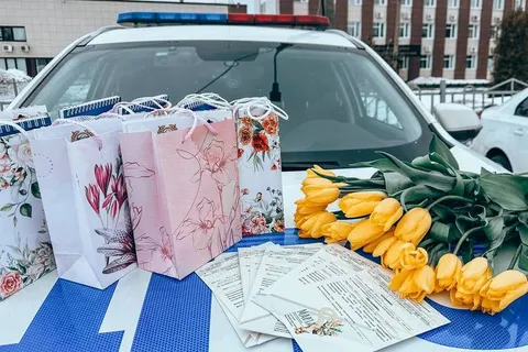 Ярославская Госавтоинспекция выписала более 20 праздничных «штрафов»