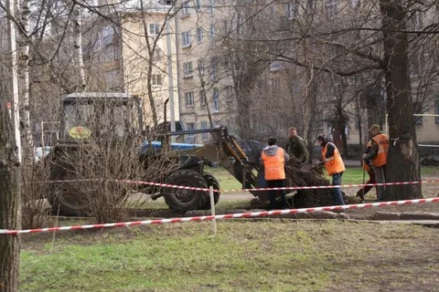 В центре Ярославля во дворах прошли субботники