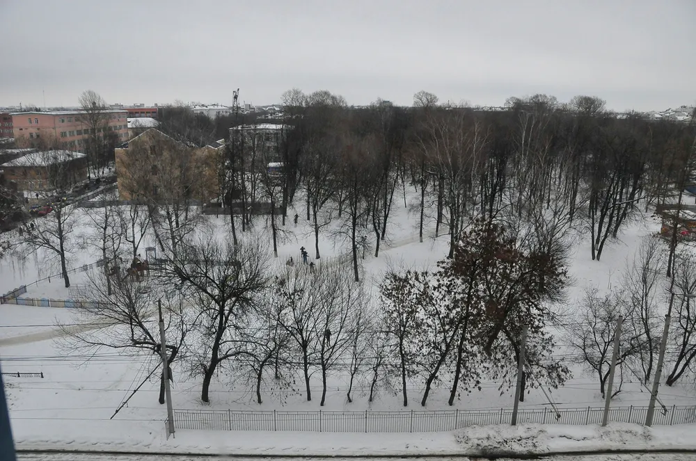 Строительные площадки  наступают на Бутусовский парк в центре Ярославля