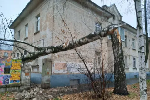 В Ярославле ураган повалил деревья: затруднено движение на проспекте Ленина