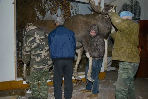 В музее-заповеднике Переславля-Залесского закрыли отдел природы
