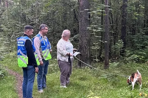 Видеокамеры помогли оштрафовать 18 ярославцев за неправильный выгул собак