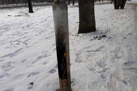 «Не до фонаря»: в Ярославле жителей Брагино приучают к разрухе