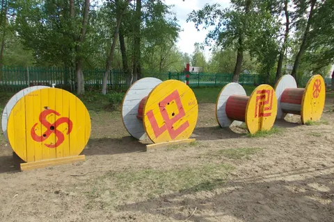 В Ярославле продолжается поиск художников, разукрасивших свастикой собачью площадку