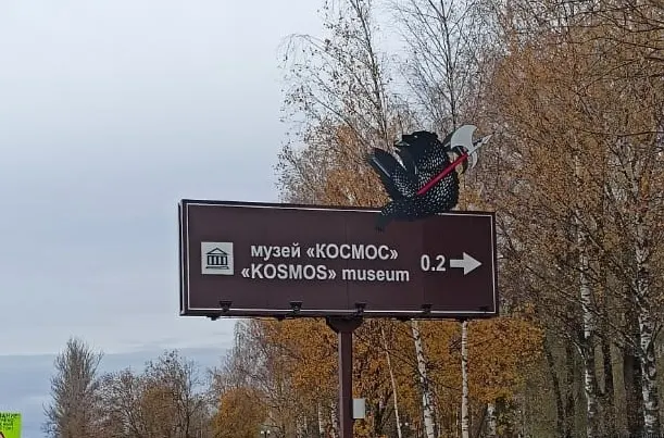 В Ярославской области установят туристические указатели с медведем