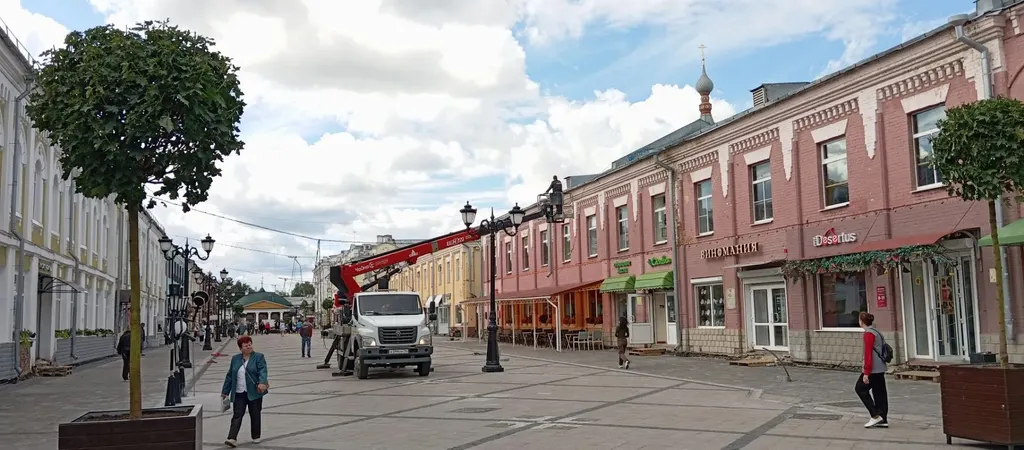 В пешеходном центре Ярославля начали ставить клены в кадках