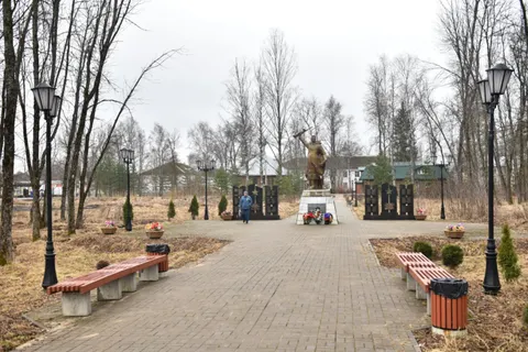 В посёлке под Рыбинском организуют уличный кинотеатр