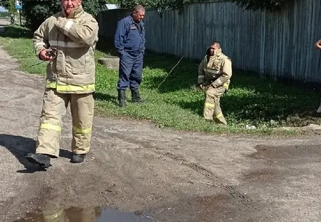 В Ярославской области пожарные спасли щенят из водосточной трубы