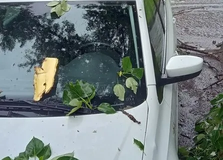 В Ярославле ночью устраняли последствия вчерашней грозы