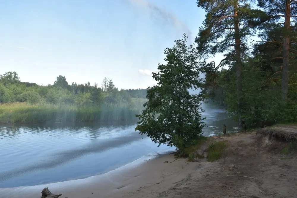В Ярославской области воду в реке проверят на токсины