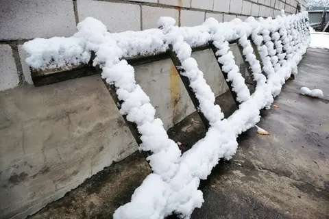 Ярославцы делятся фотографиями первого снега