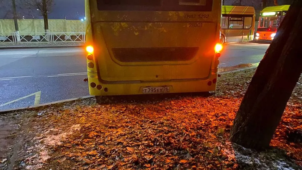 В Ярославле назвали причину блокировки улицы Гагарина после хоккея