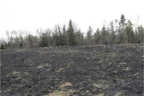 В Переславском районе тушат природные пожары