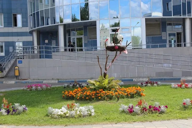 Итоги конкурса «Ярославль в цвету» подведут осенью