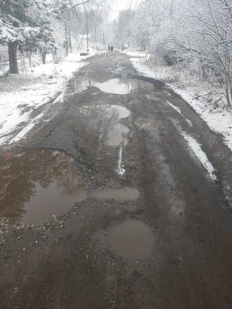 Жителям ярославского поселка Сокол предлагают стать птицами?