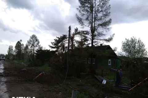 600 жителей Любима из-за смерча остаются без света