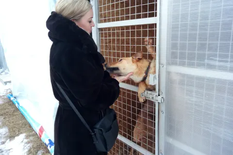 В Ярославле пройдет очередная акция «Хочу домой»