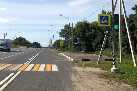 «Постоянно текут слезы»: в Ярославской области появился свой Хатико