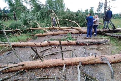 Поселок Красный Профинтерн под Ярославлем оказался в эпицентре урагана