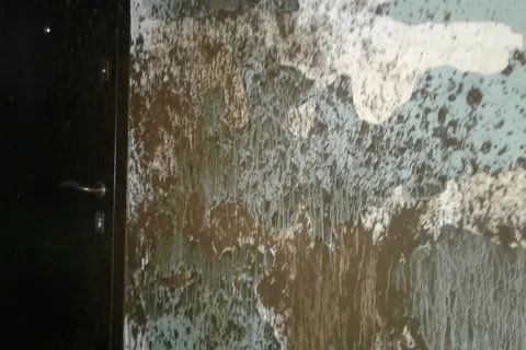 Видео: в Ярославле на Липовой горе появился фонтан – коммунальный