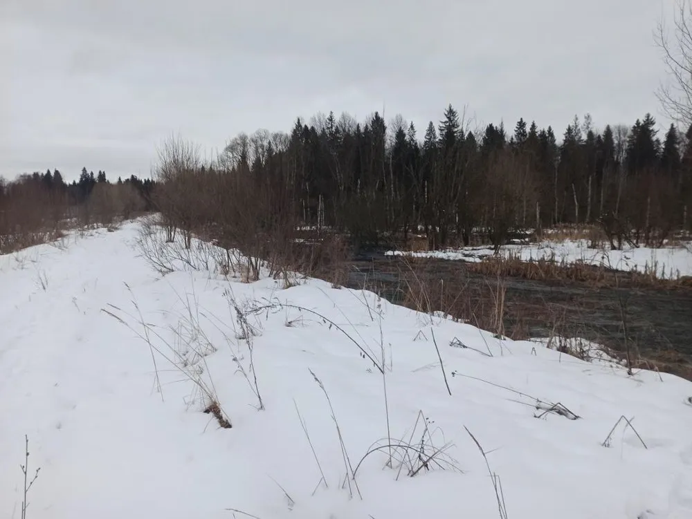 В Ярославской области возбуждено уголовное дело о порче земли