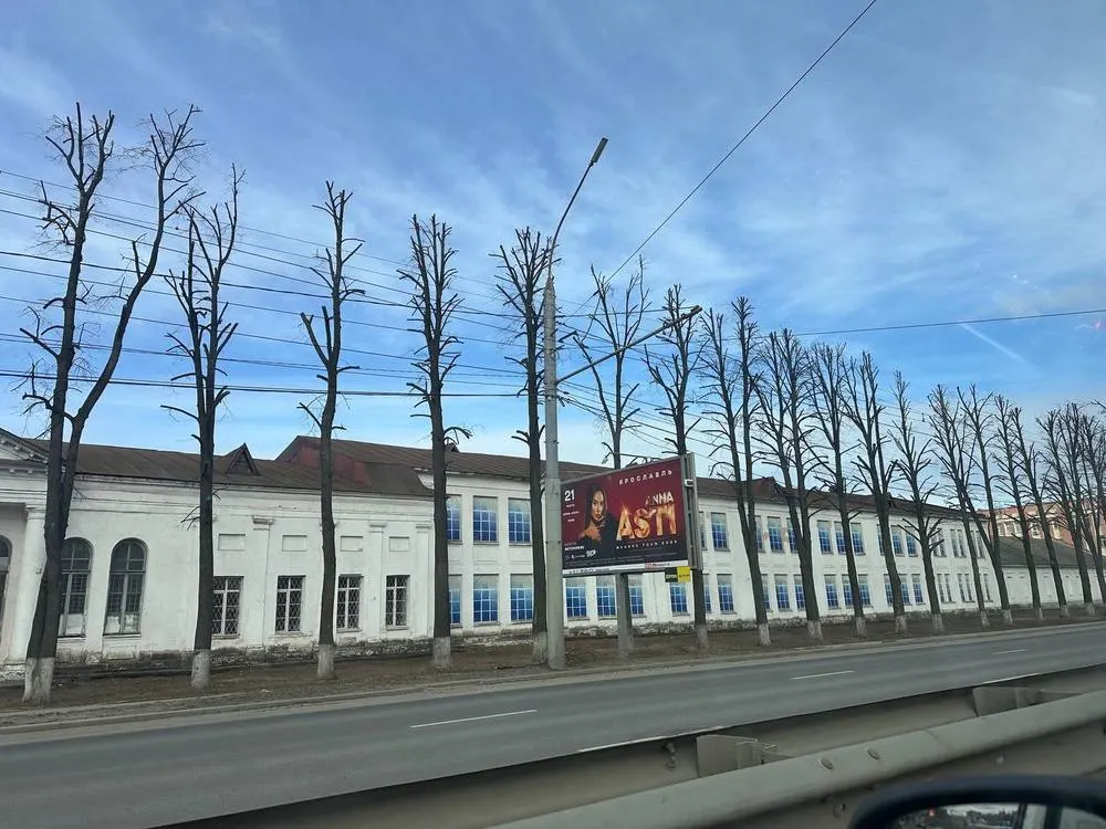 В Ярославле объяснили вырубки деревьев на Московском проспекте